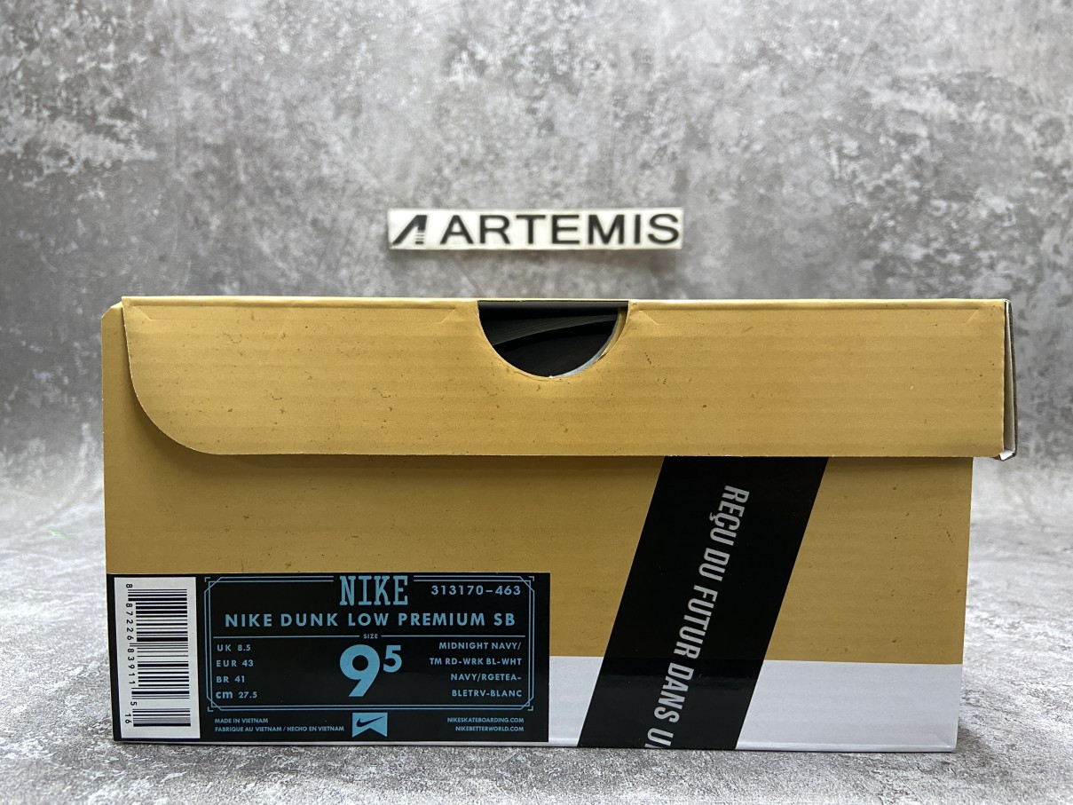 Nike Dunk SB Low FTC Finally