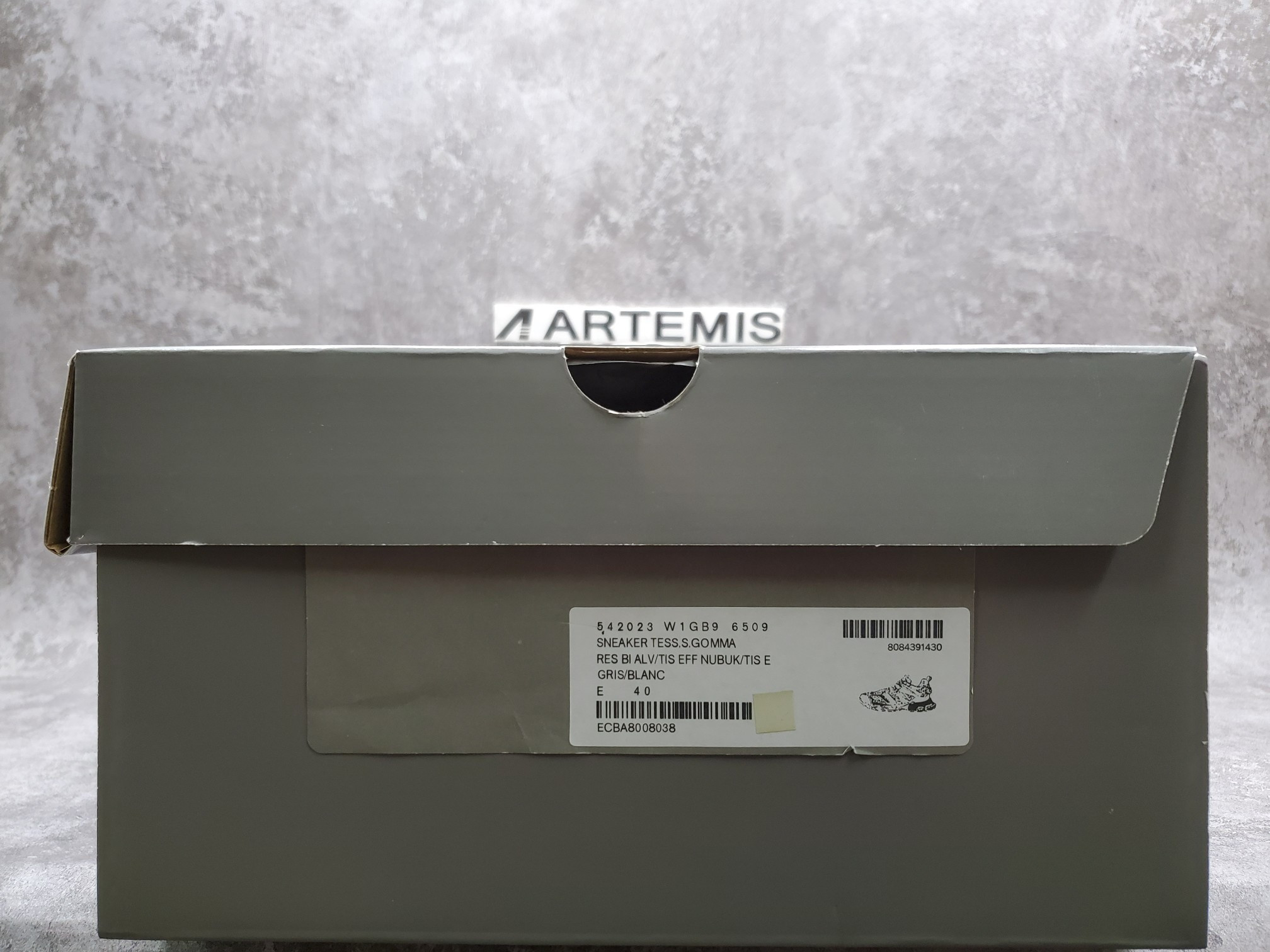 Balenciga Track White(No Led)