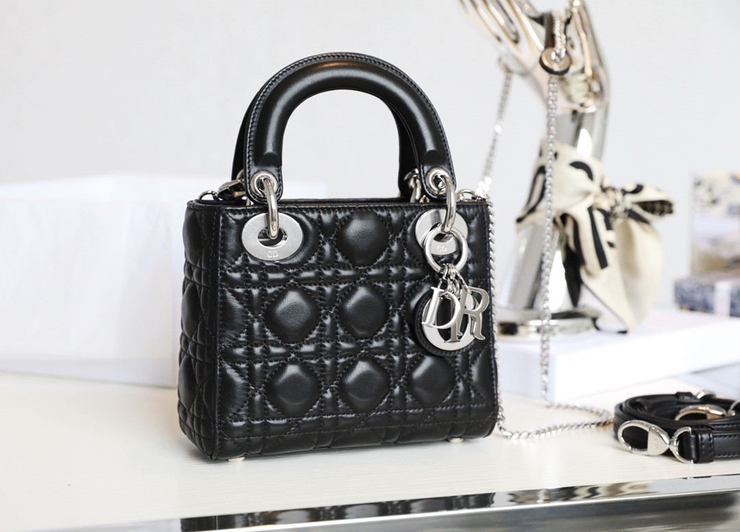 lady D10r bag 17x7x15cm