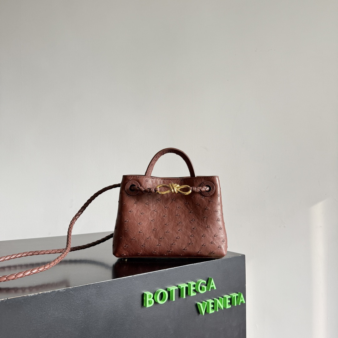 Bottega Veneta Mini Andiamo 15x20.5x7.5cm