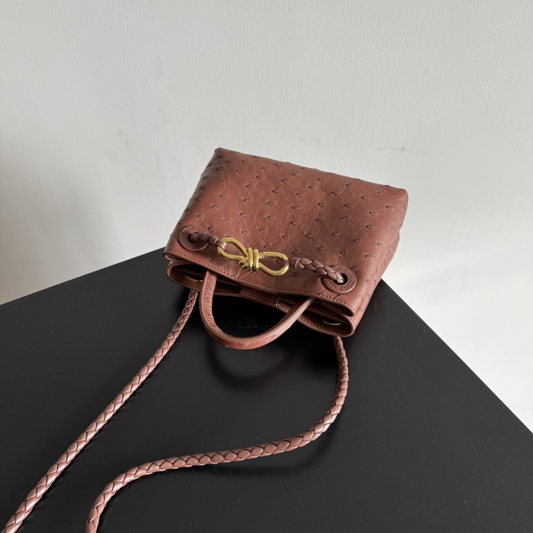 Bottega Veneta Mini Andiamo 15x20.5x7.5cm