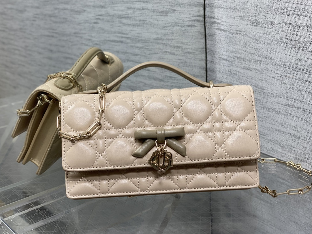 my D10r mini bag 21x11.5x4.5cm