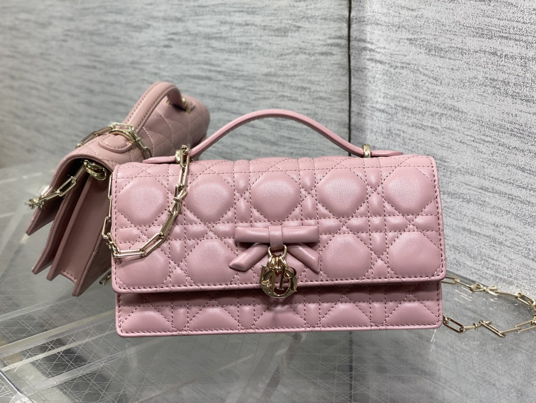 my D10r mini bag 21x11.5x4.5cm