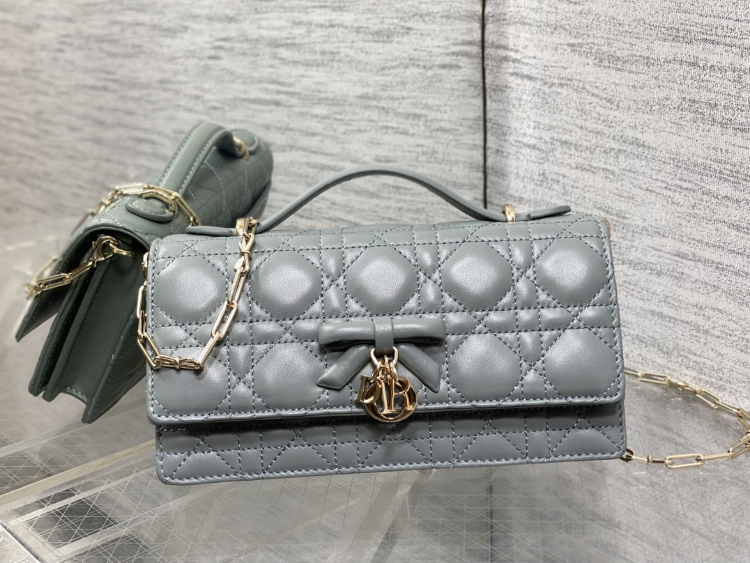 my D10r mini bag 21x11.5x4.5cm